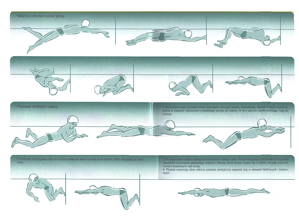 różne style pływackie infografika