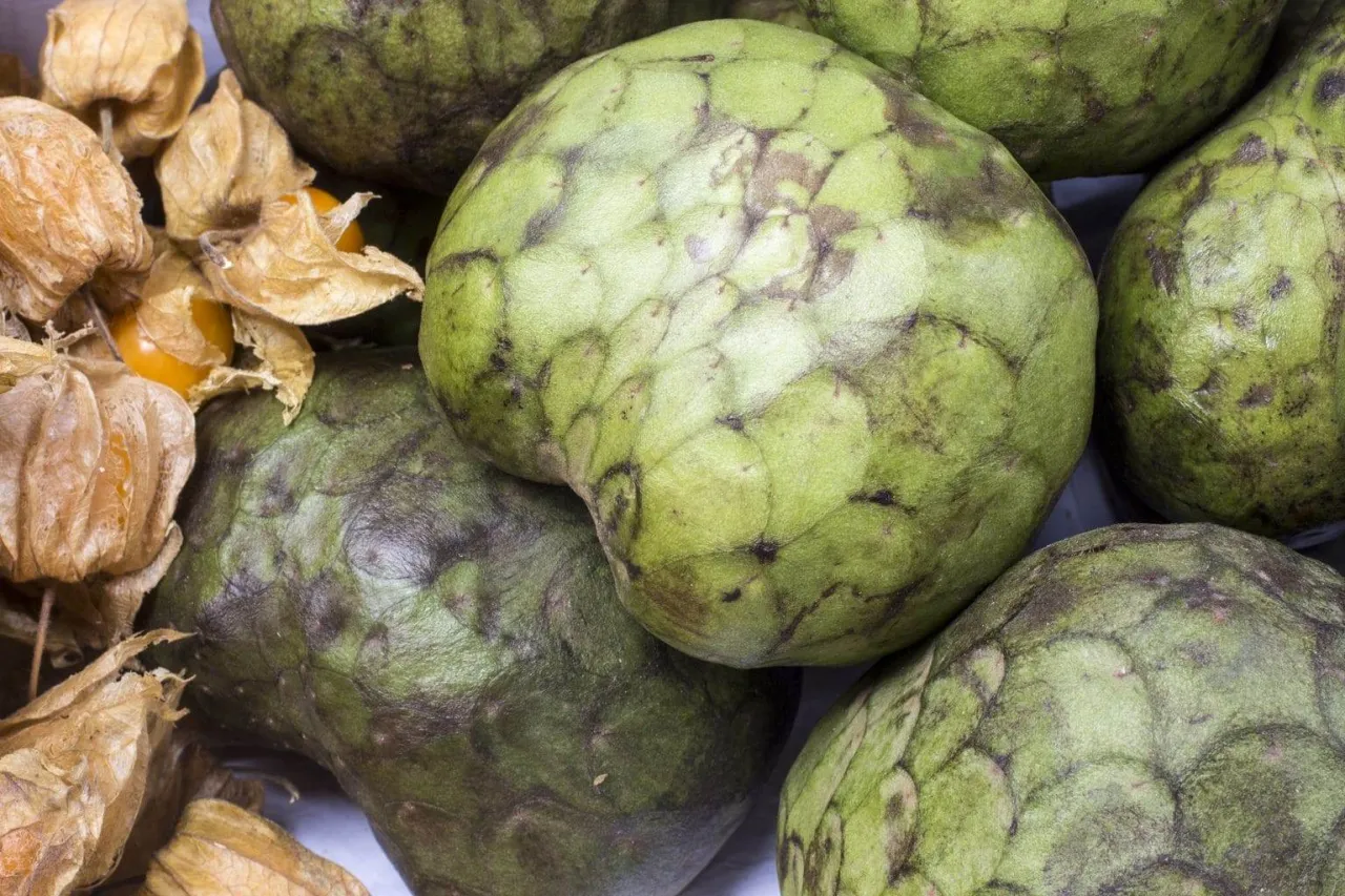 Zielone, łuskowate owoce cherimoya, obok suchych łupinek miechunki. Ich słodki, tropikalny smak kusi.