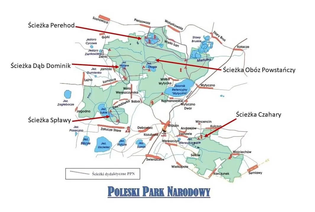 Poleski Park Narodowy ścieżki rowerowe