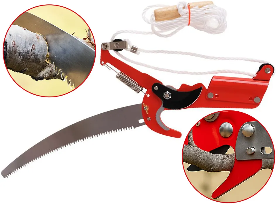 Narzędzia do przycinania jeżyn sekator