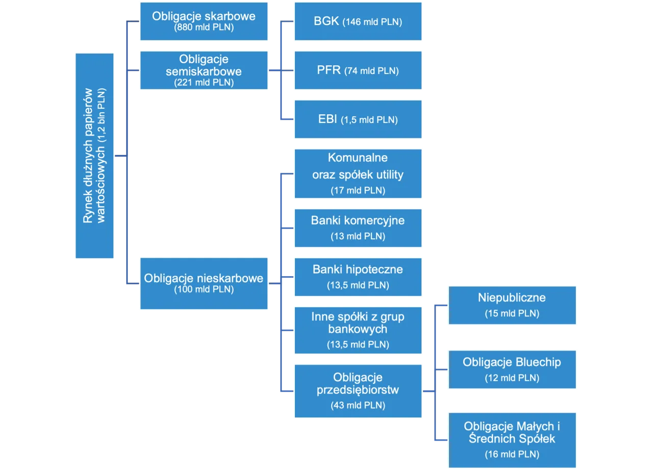 Rodzaje obligacji skarbowych w Polsce infografika