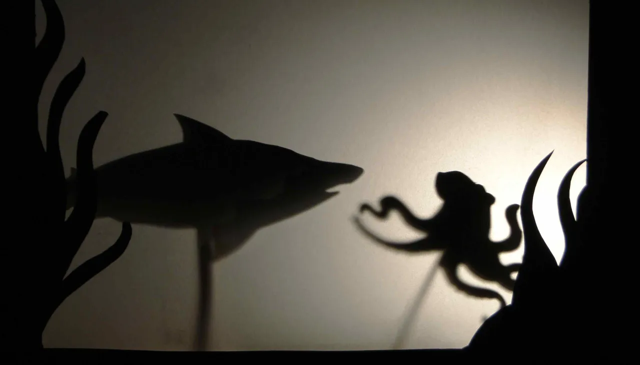 materiały do teatru cieni