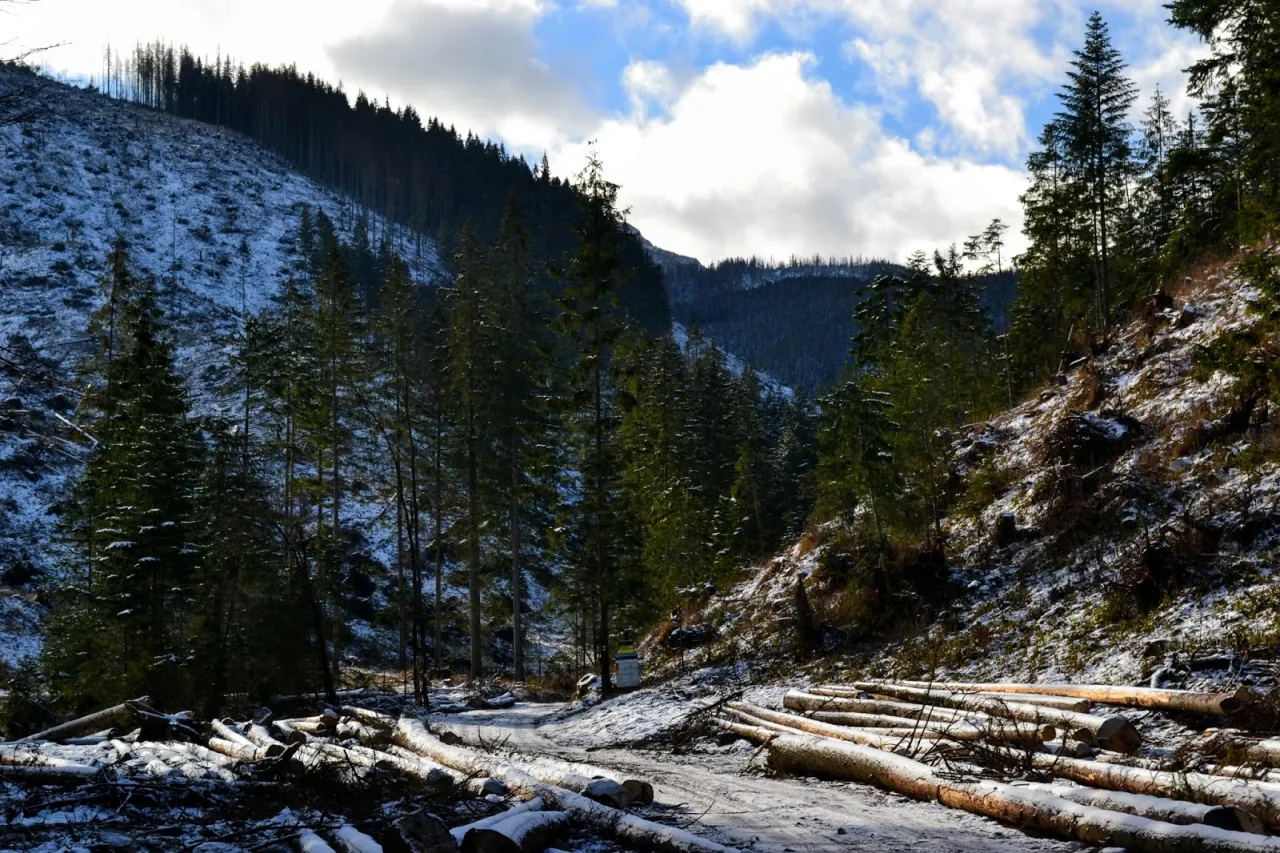 Dolina Lejowa szlak zielony Tatry Zachodnie