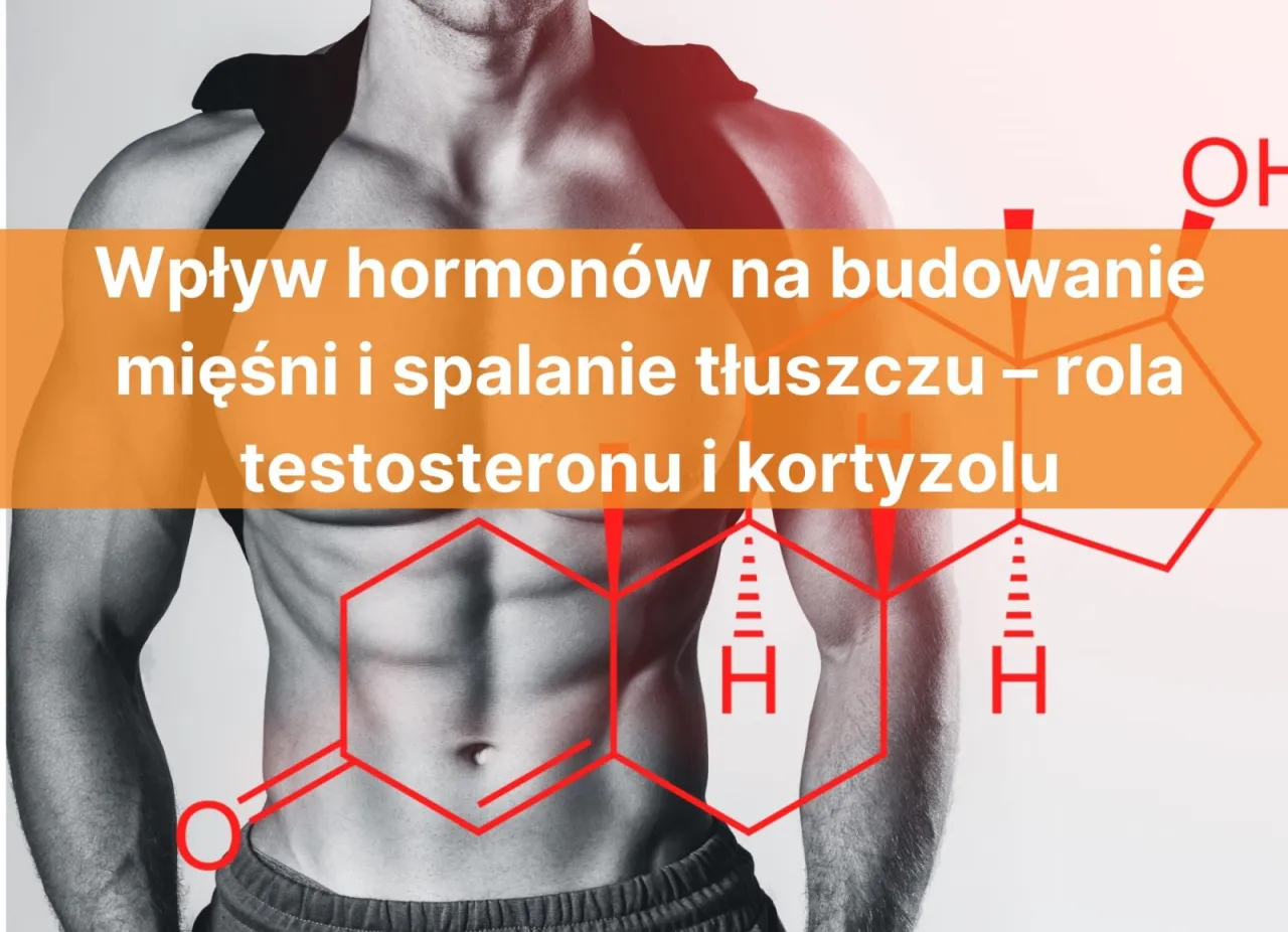 Mięśnie i spalanie tłuszczu: jak hormony, np. testosteron, wpływają na procesy anaboliczne.