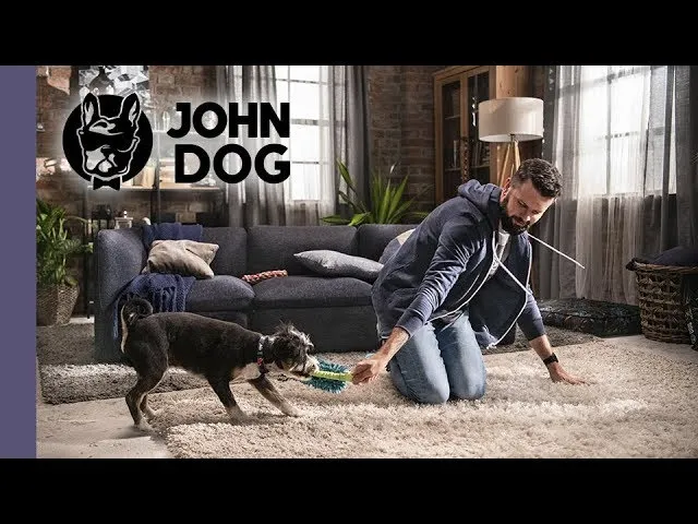 pies gryzie zabawkę trening