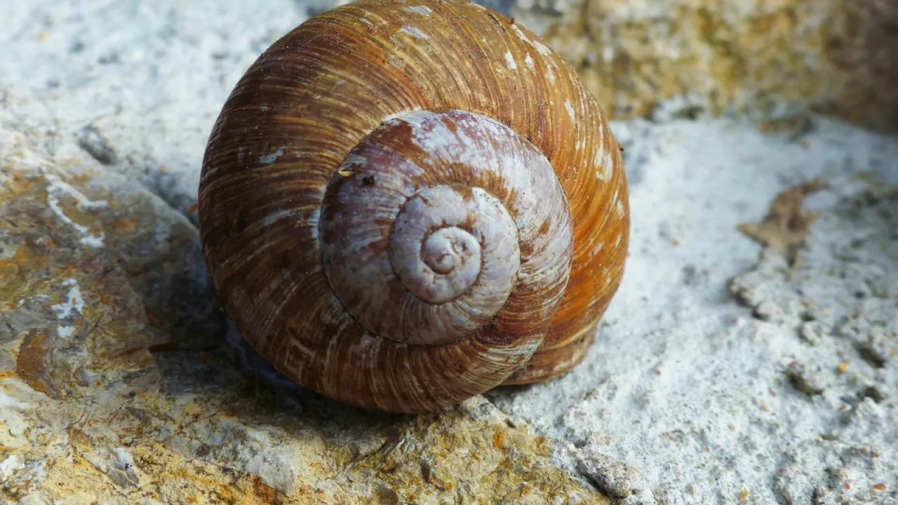 przyczyny osobowości unikającej dzieciństwo
