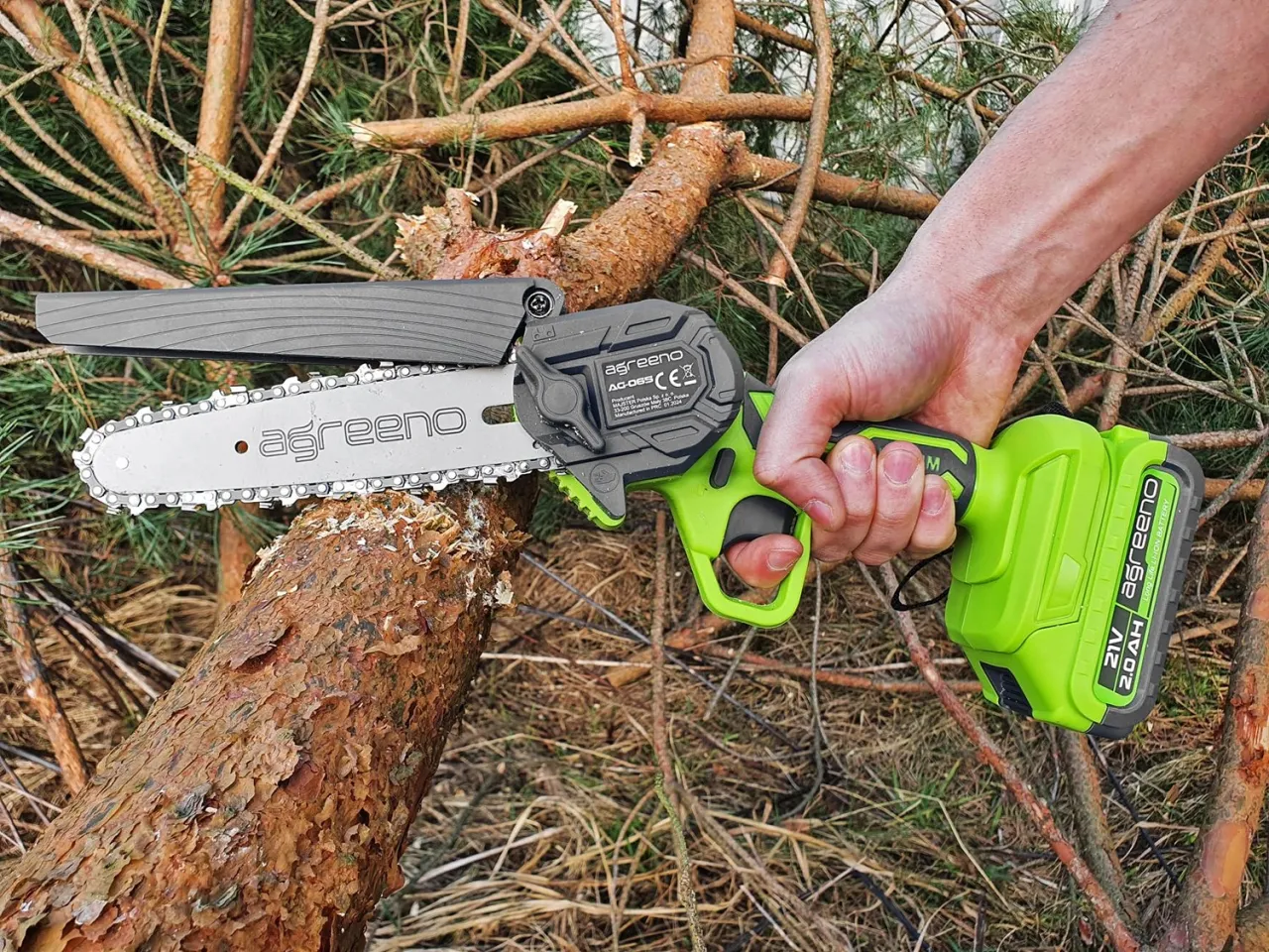 Pilarka akumulatorowa w ogrodzie