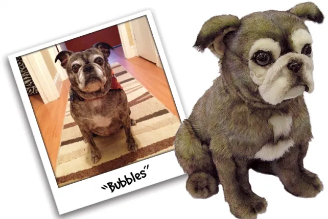 r&oacute;żne typy pluszowych piesk&oacute;w jak żywych