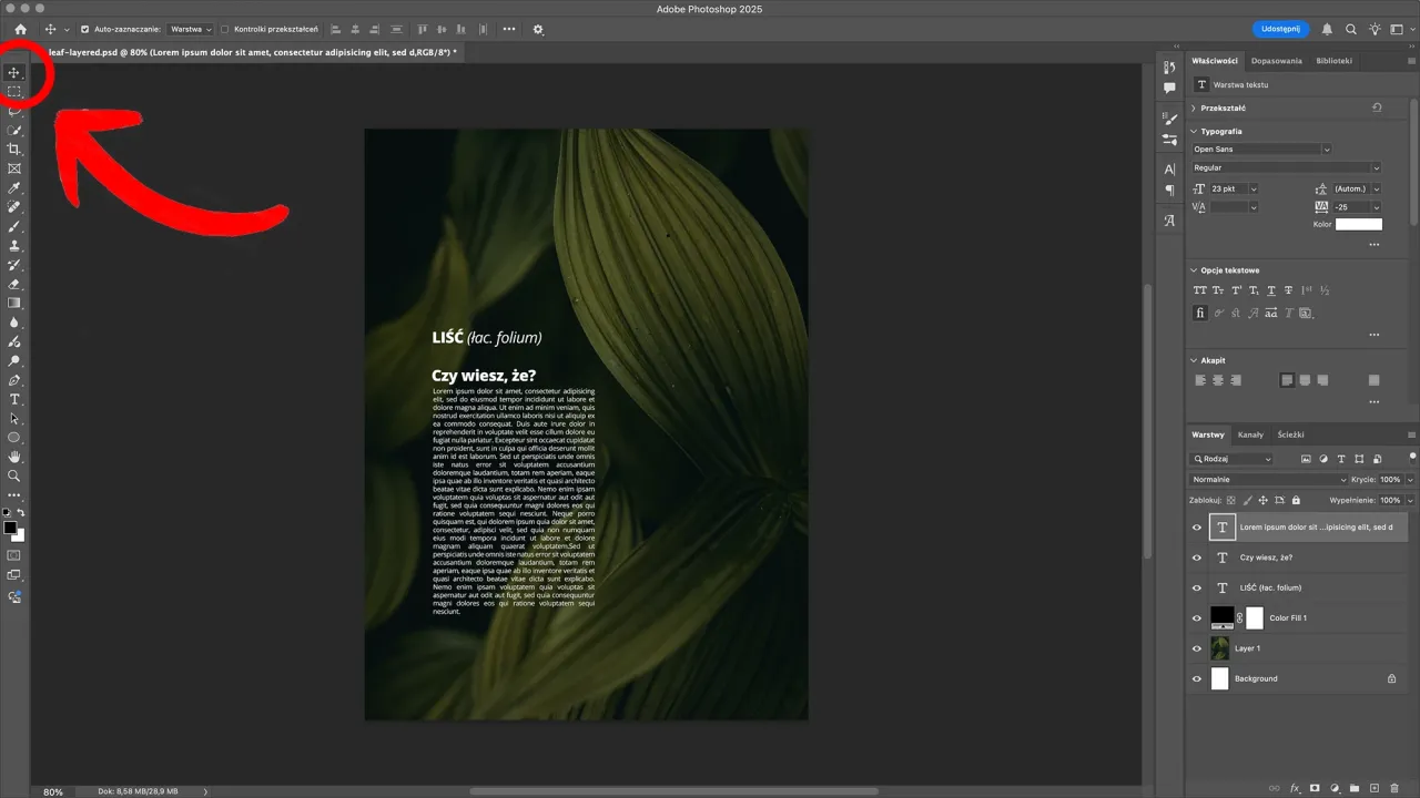 Photoshop warstwy AI