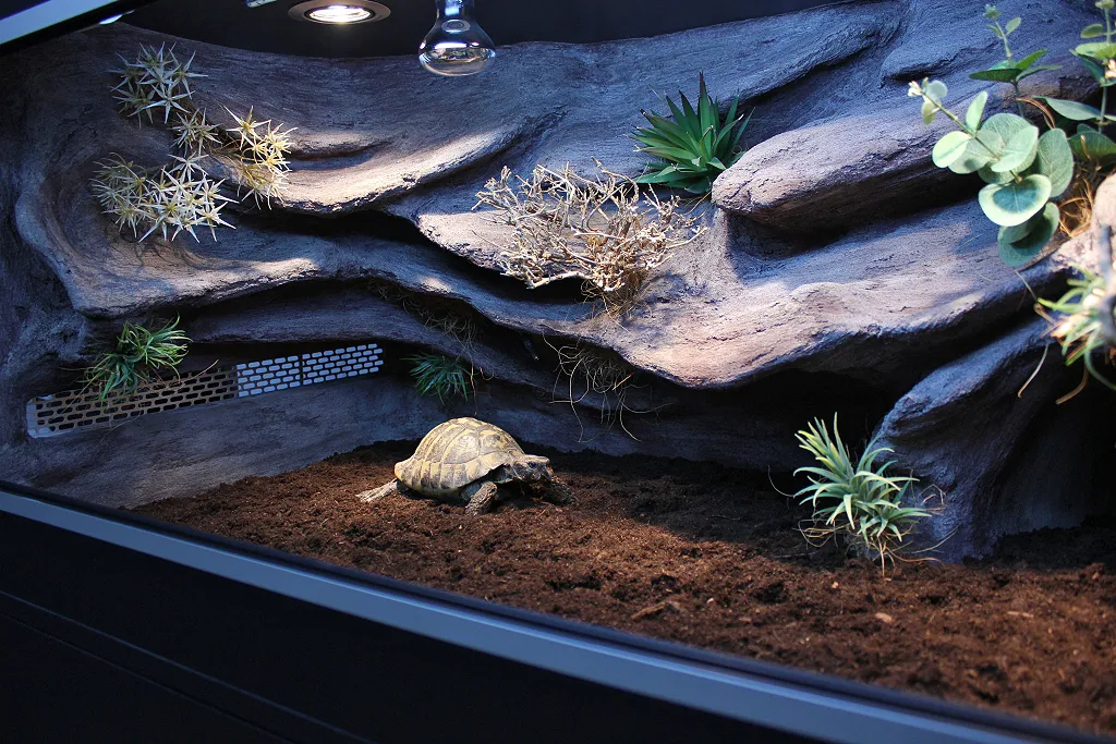 Terrarium dla żółwia greckiego z lampą UVB i wyspą ciepła