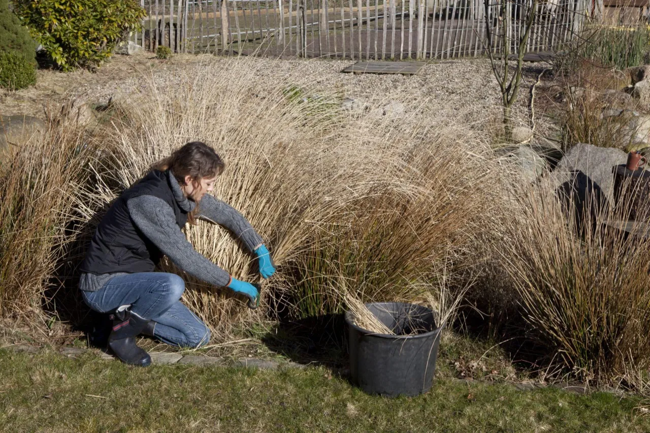 narzędzia do przycinania traw ozdobnych