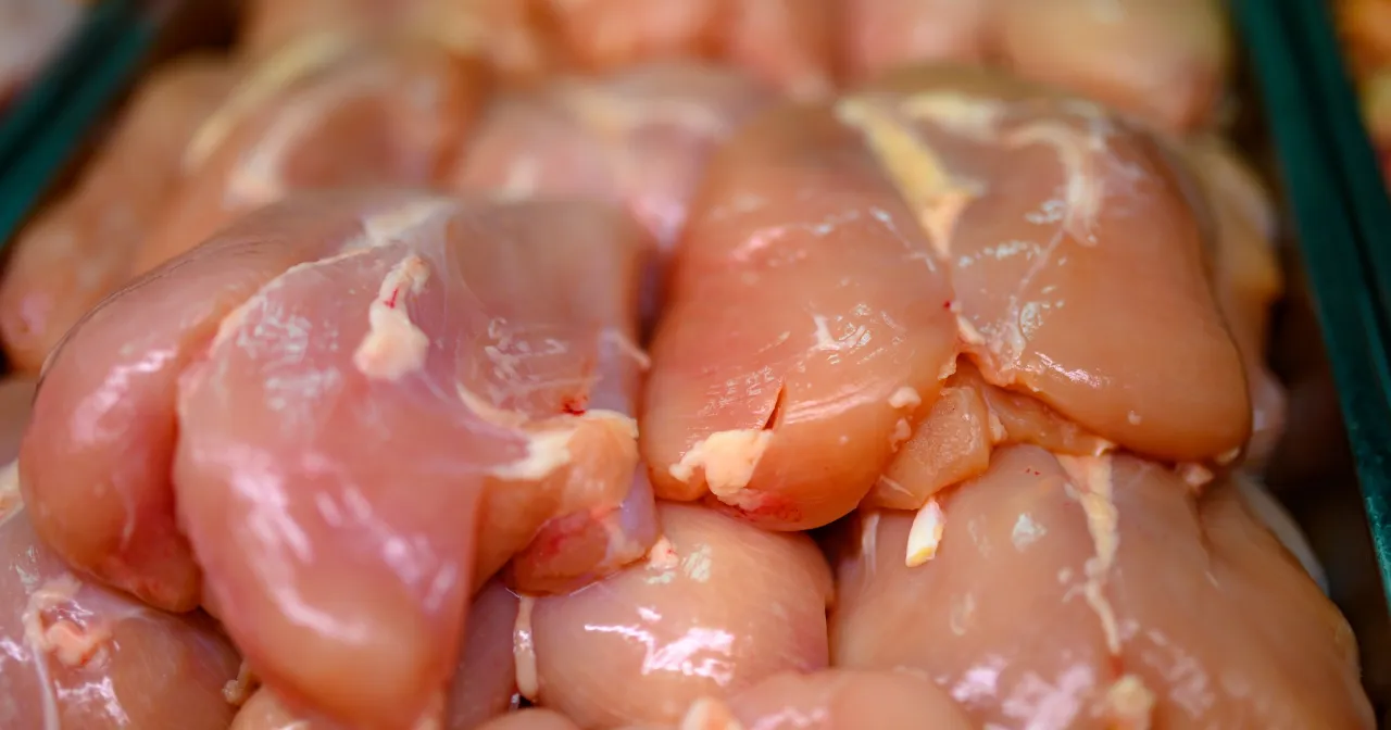 indyk kurczak por&oacute;wnanie mięs