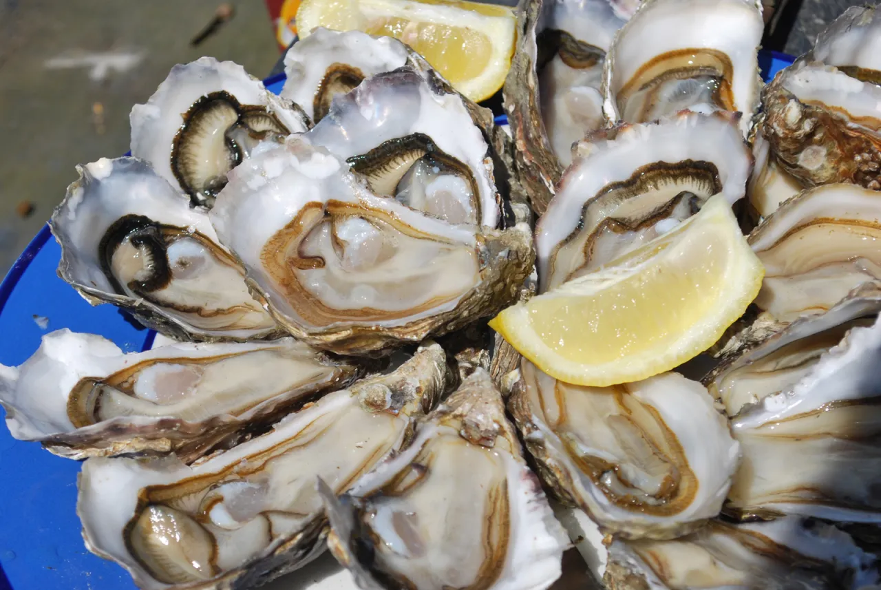 Produits locaux Vendée huîtres bonnotte volaille Challans