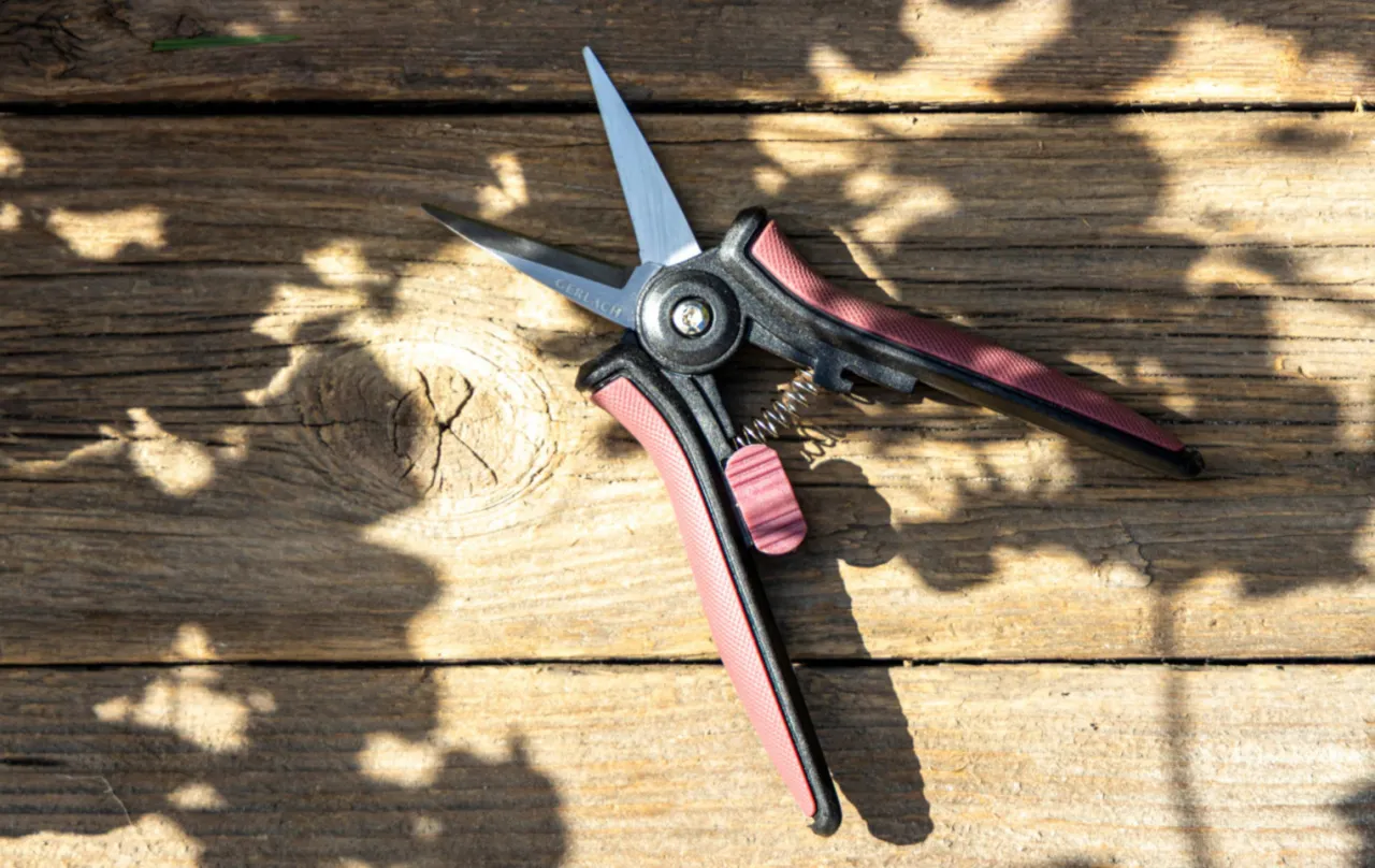 narzędzia do przycinania roślin doniczkowych
