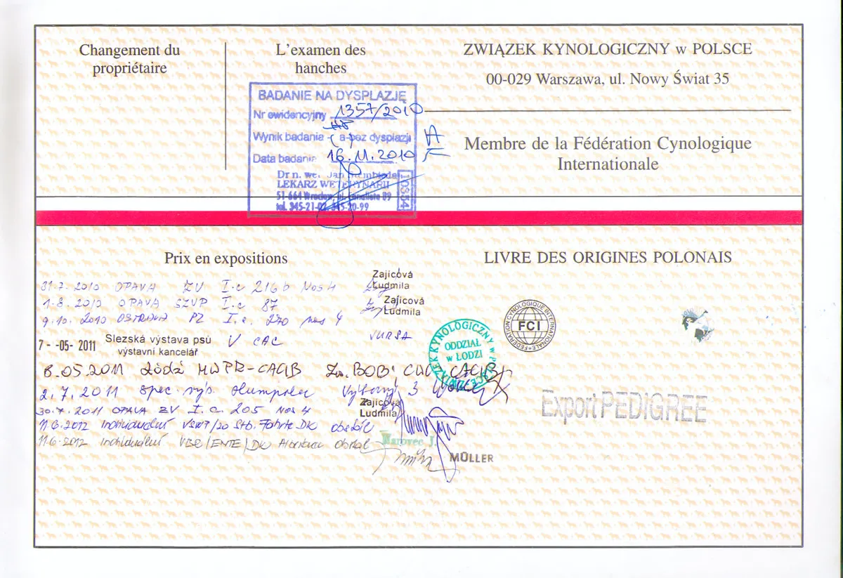 rodowód psa ZKwP FCI