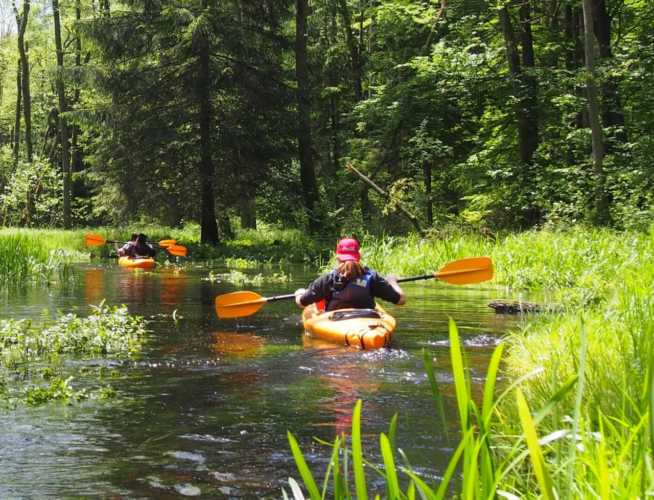 Bory Tucholskie spływ kajakowy