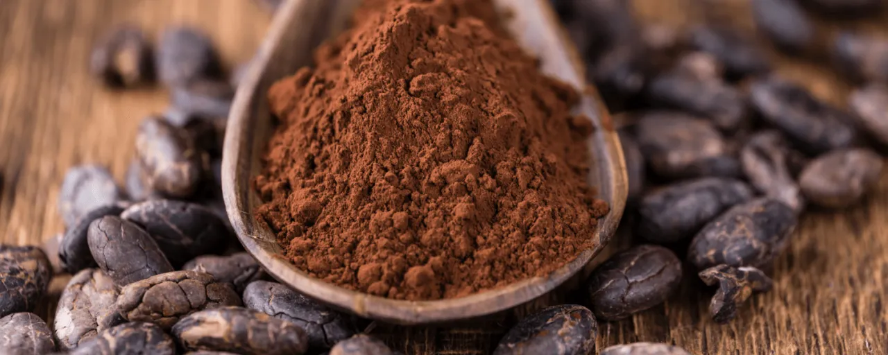 różne rodzaje kakao w proszku