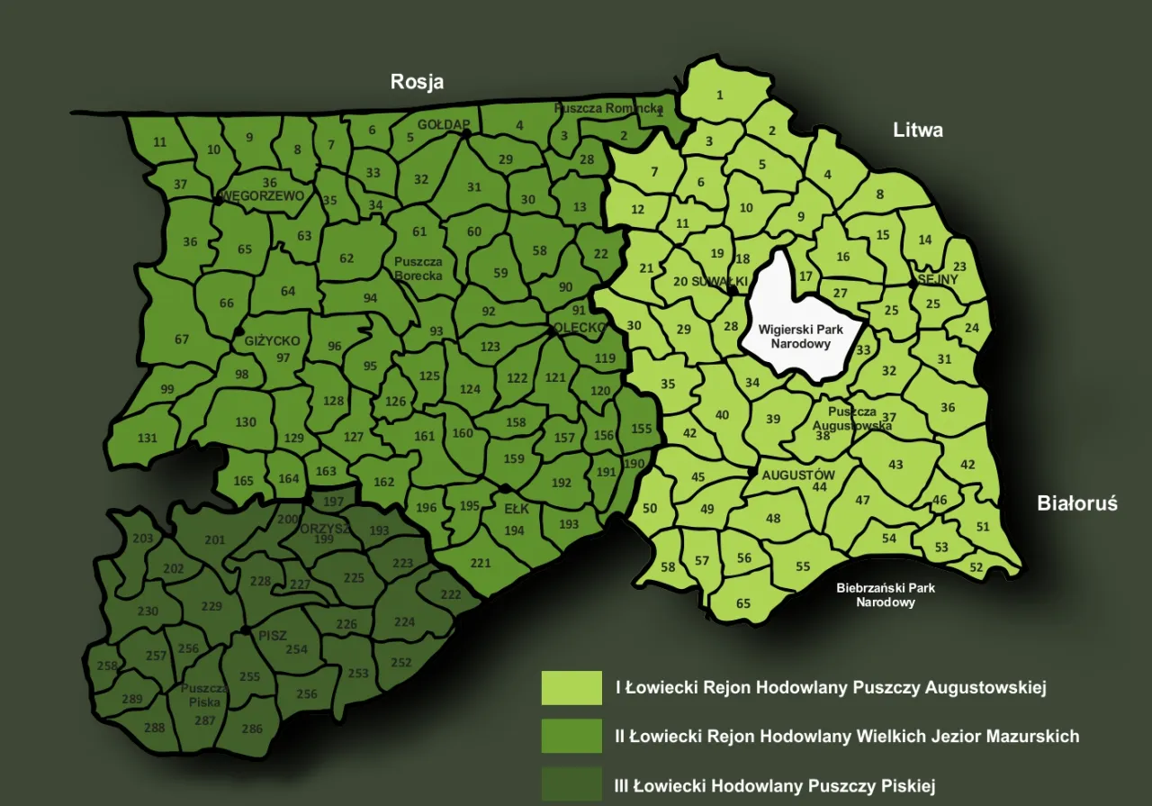 Mapa łowiecka z podziałem na rejony. Czy myśliwi mogą liczyć na pomoc urzędu gminy w tych obszarach?