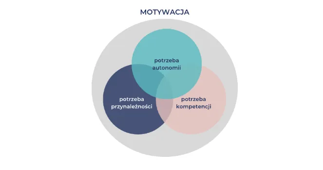 Zdjęcie Po co nam motywacja i jak wpływa na nasze życie i cele?