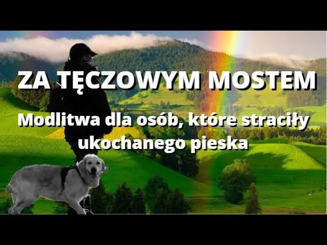 Zdjęcie Wzruszające cytaty o psach, które odeszły i tęczowy most emocji