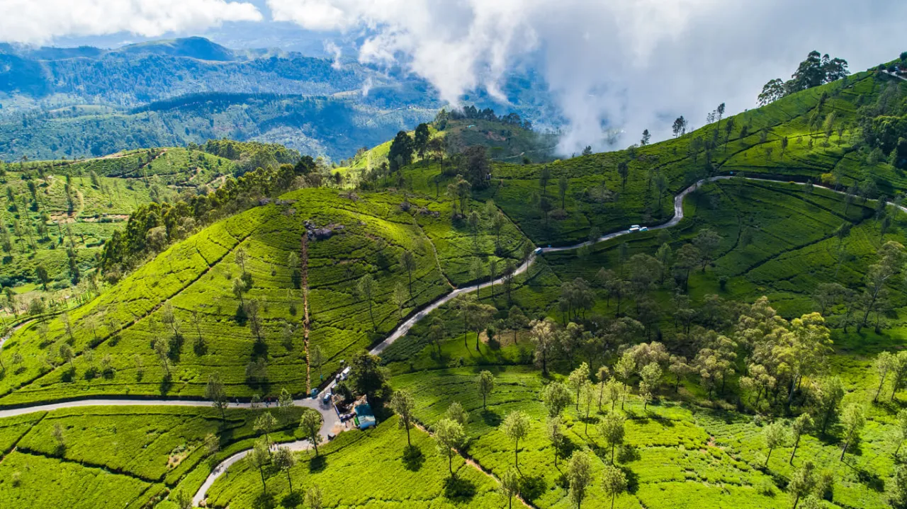 Zdjęcie Sri Lanka kiedy jechać - odkryj najlepszy czas na wizytę
