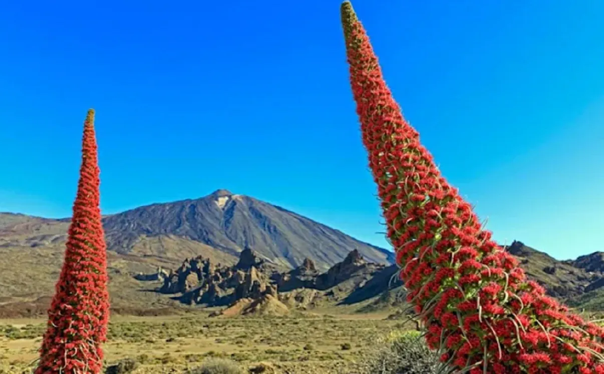 Zdjęcie La montaña más alta de España: Teide, un volcán impresionante y accesible