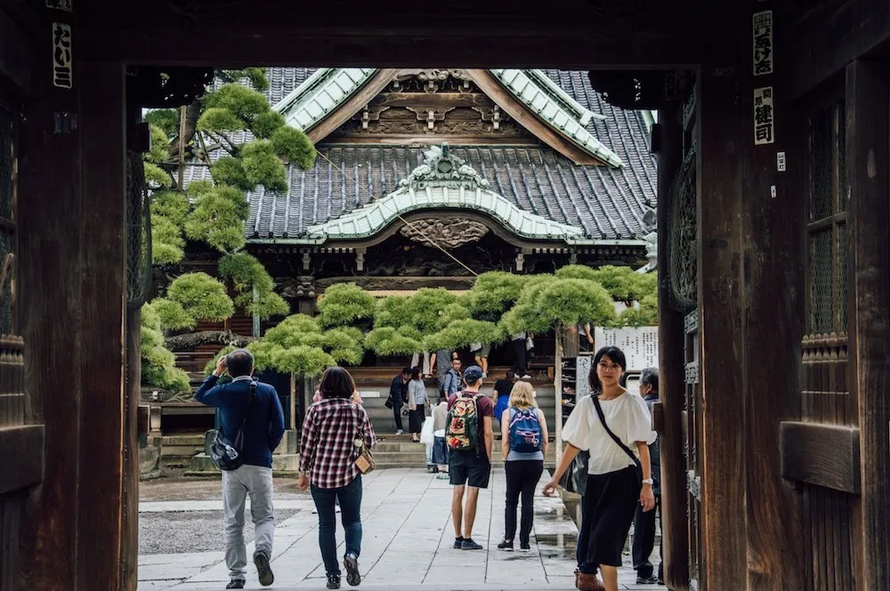 Zdjęcie Kiedy najlepiej jechać do Japonii, aby uniknąć tłumów i cieszyć się sezonowymi atrakcjami