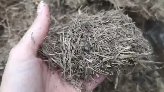 Zdjęcie Co zrobić ze starym sianem? Praktyczne pomysły na jego wykorzystanie