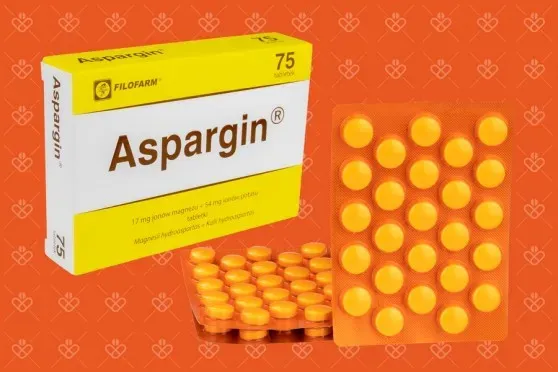 Zdjęcie Aspargin lek czy suplement? Sprawdź, co musisz wiedzieć o działaniu