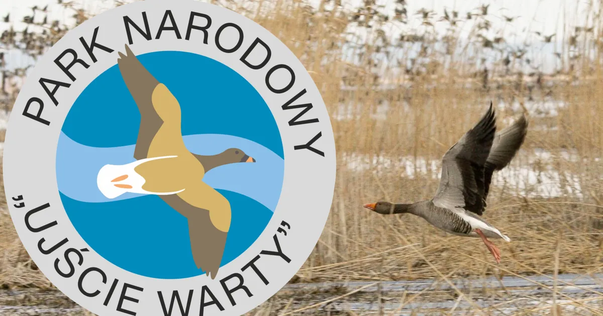 Zdjęcie Jaki jest symbol parku narodowego Ujście Warty i jego znaczenie?