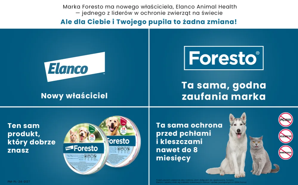 Zdjęcie Jak działa obroża Foresto? Skuteczna ochrona przed pchłami i kleszczami
