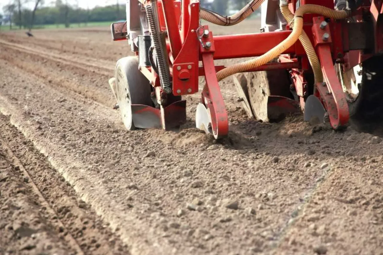 Zdjęcie Jaki nawóz w podsiewacz do kukurydzy? Odkryj skuteczne rozwiązania