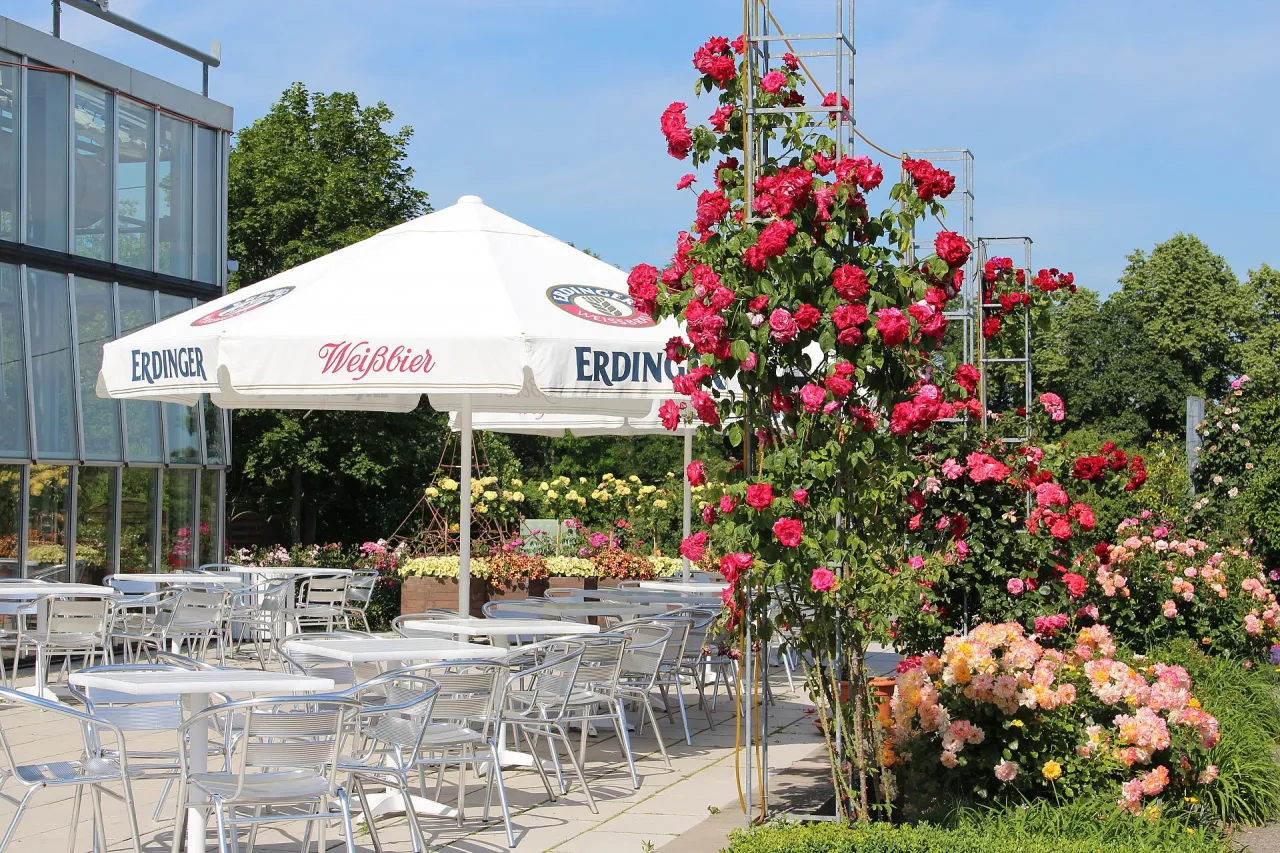 Europa-Rosarium Sangerhausen Gastronomie