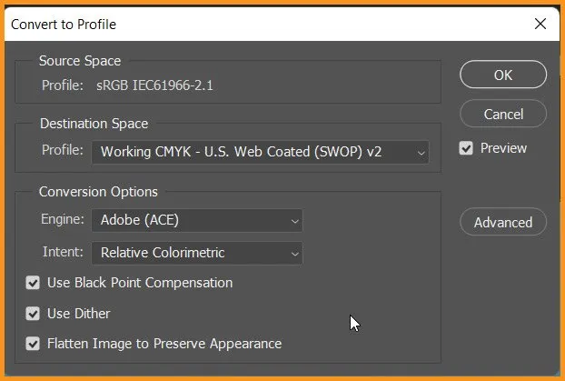 Photoshop Convert to Profile dialog window