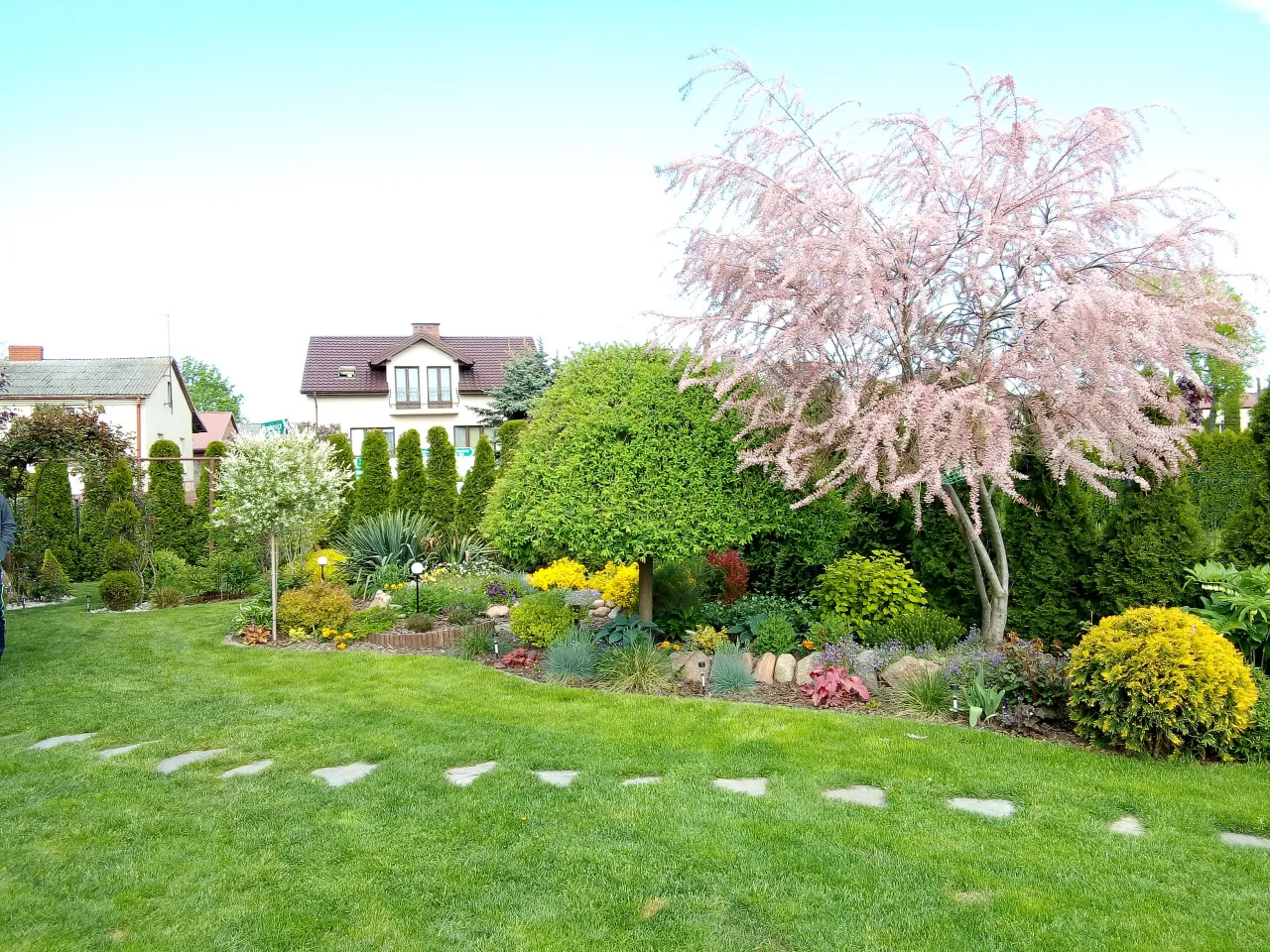 rabata z tamaryszkiem aranżacje