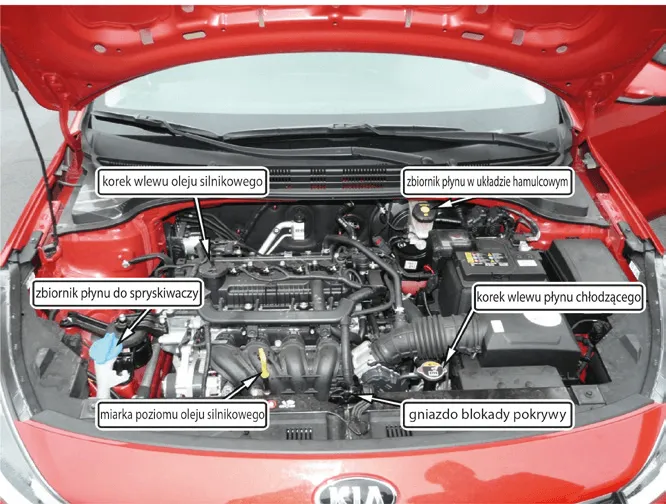 przygotowanie do egzaminu praktycznego