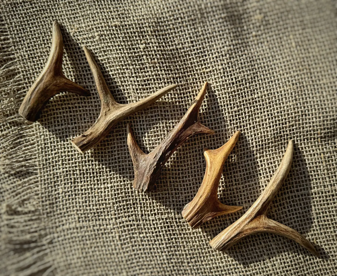 narzędzia do obróbki poroża DIY