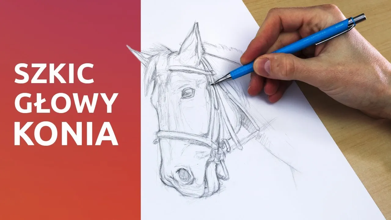 jak narysować głowę konia detale