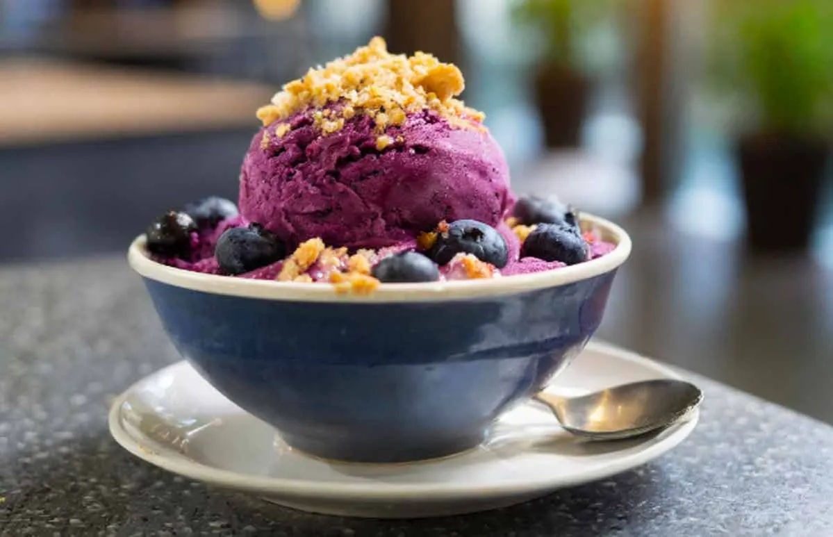 Domowy sorbet borówkowy