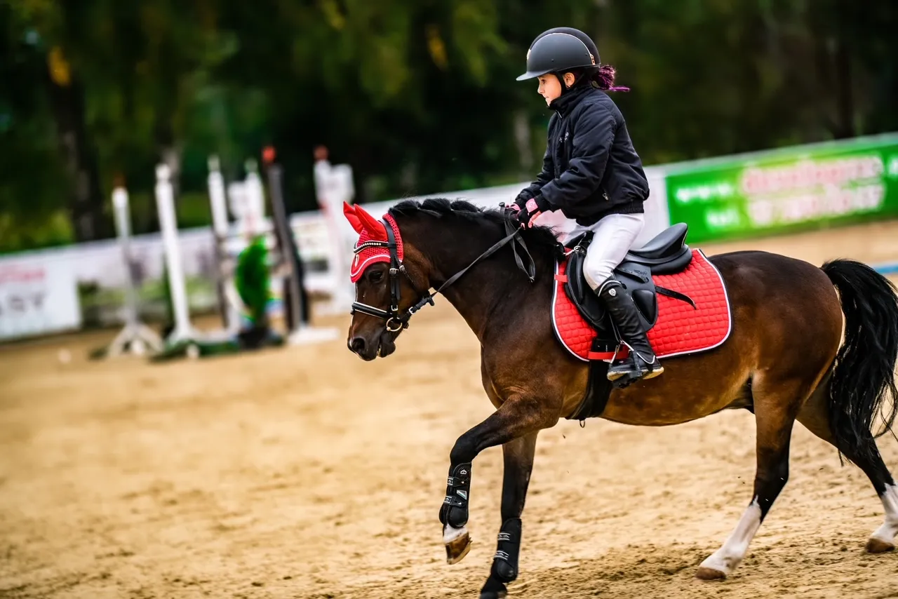 Stadnina Koni Leśna Wola cennik jazda konna