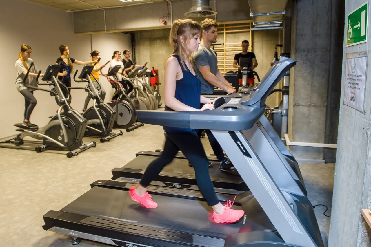 Nowoczesna siłownia uniwersytecka sprzęt