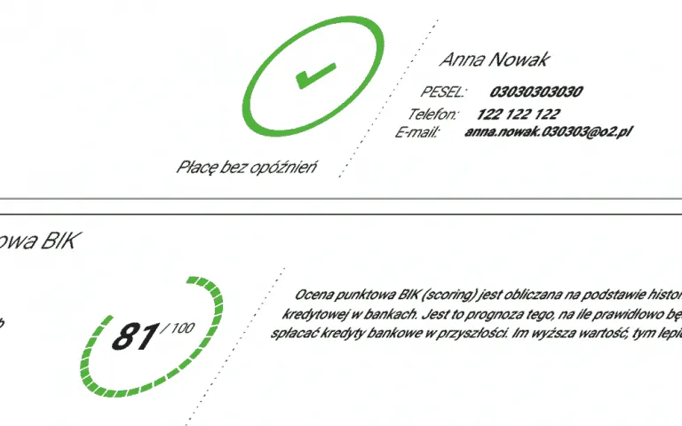 osoba sprawdzająca raport kredytowy