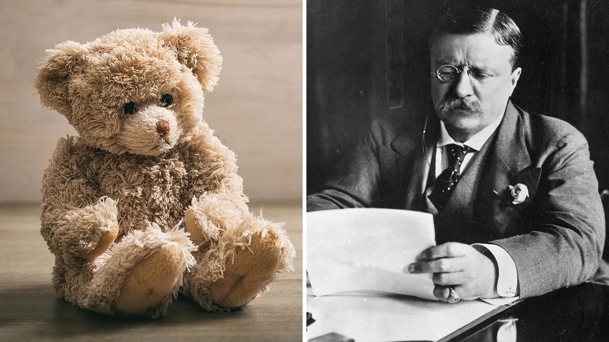 Teddy Roosevelt z misiem pluszowym, historia Teddy Bear