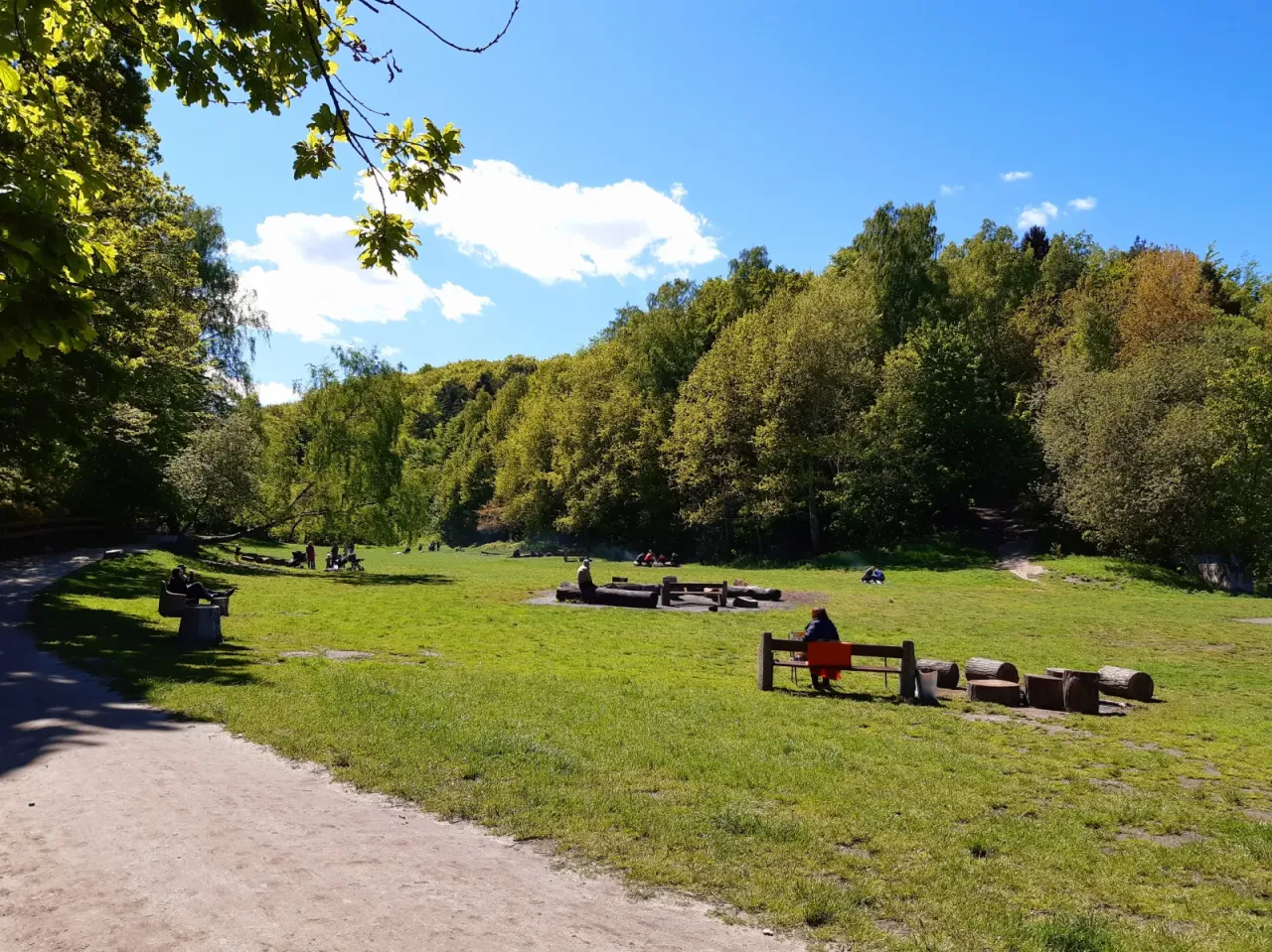 Słoneczny dzień w rezerwacie przyrody Kępa Redłowska. Ludzie odpoczywają na ławkach i trawie wśród zieleni i drzew.