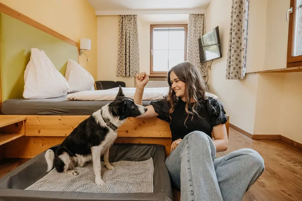 Hundefreundliches Hotel mit Hund im Zimmer