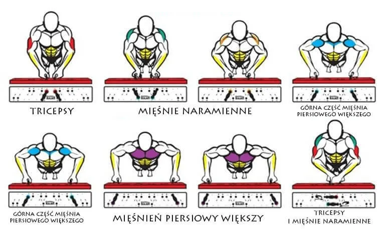 ćwiczenia na klatkę piersiową w domu, pompki warianty