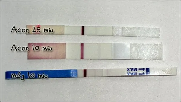 test ciążowy pozytywny negatywny, kalendarzyk cyklu