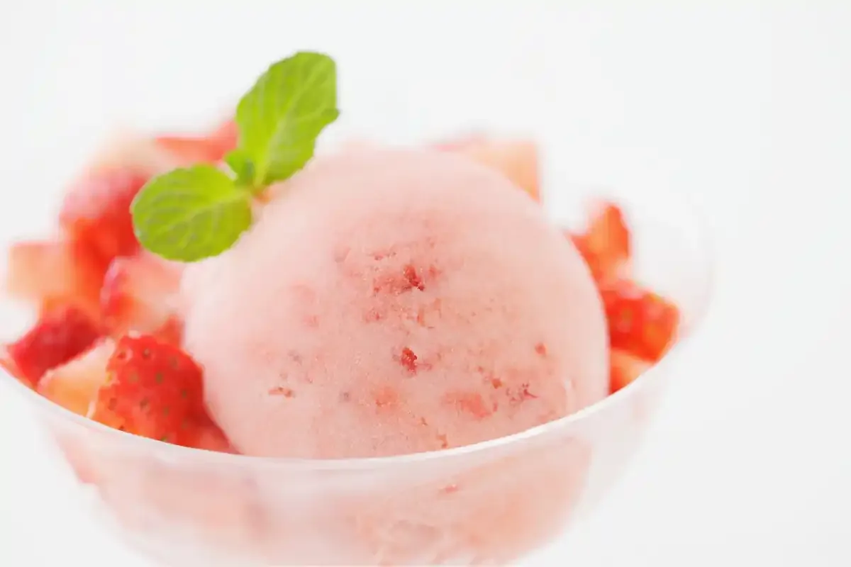 Thermomix lody sorbety z mrożonych owoc&oacute;w