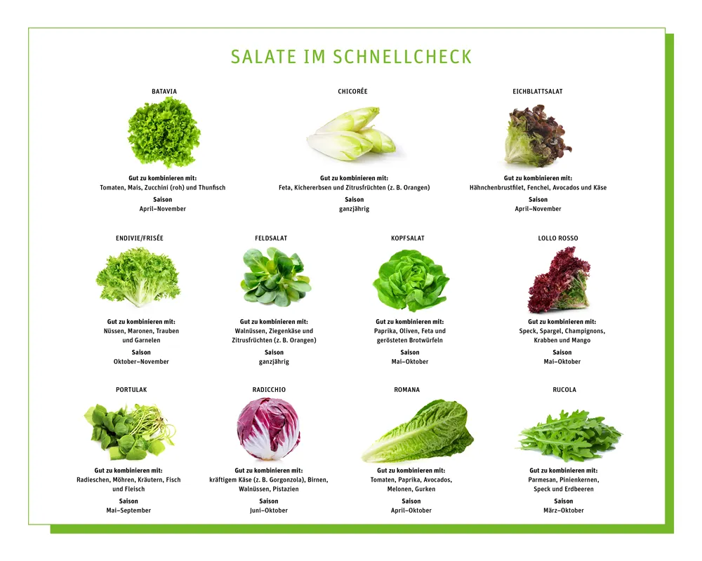 verschiedene Blattsalate und frische Zutaten