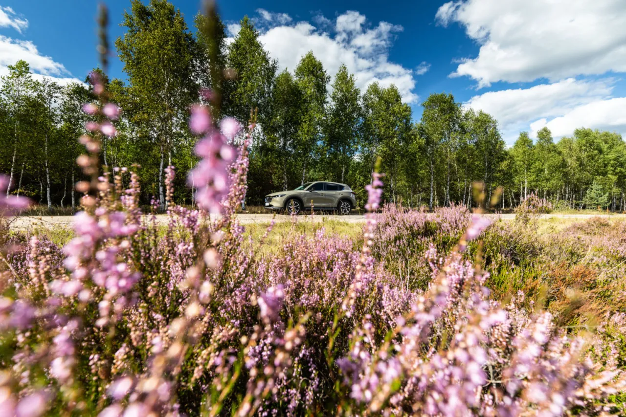 Malownicze drogi Pojezierza Drawskiego
